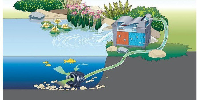 hệ thống lọc nước bể cá