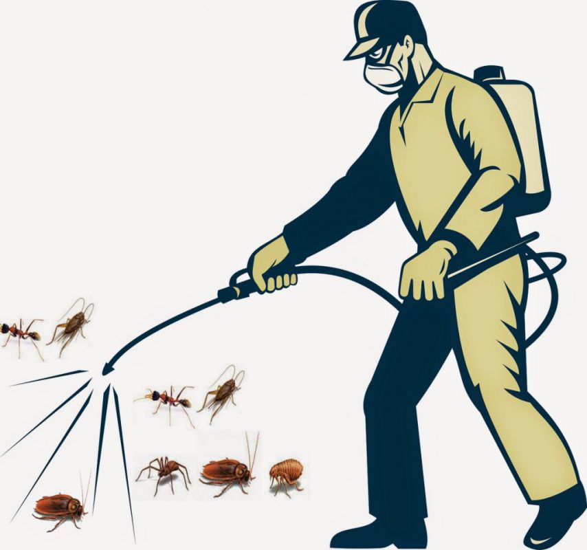 Làm sao để phun muỗi an toàn cho gia đình?