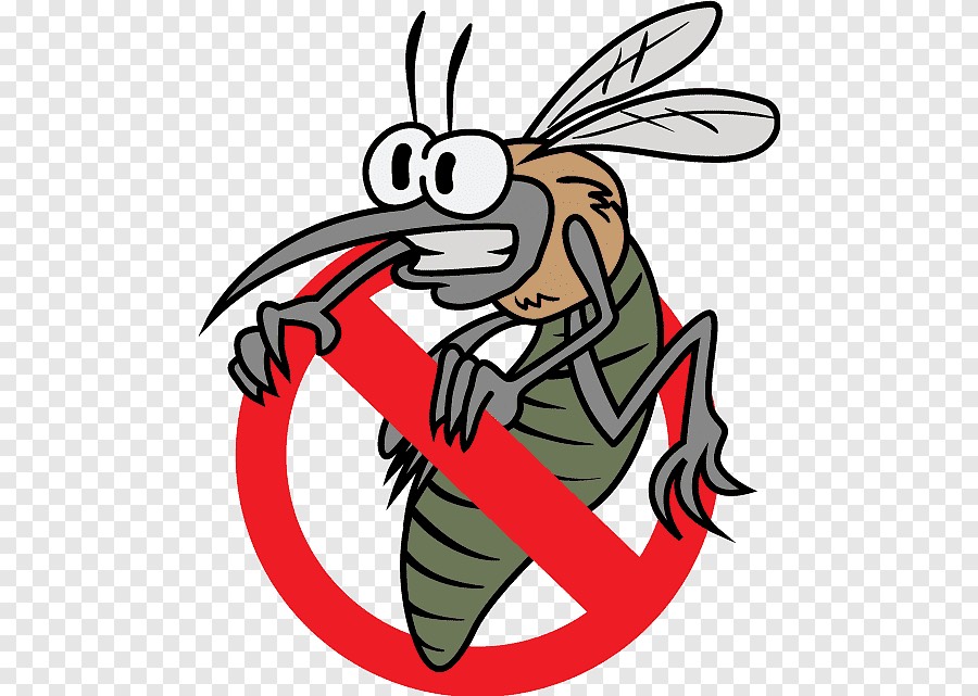Tổng hợp các thắc mắc khi phun thuốc muỗi đảm bảo sức khỏe