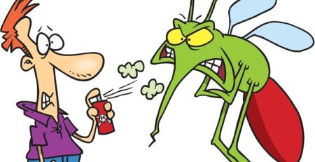 Tại sao phun thuốc diệt muỗi rồi muỗi vẫn đầy nhà?