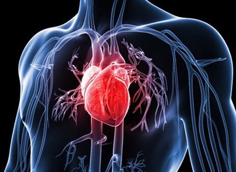 ô nhiễm không khí ảnh hưởng đến tim mạch như thế nào?