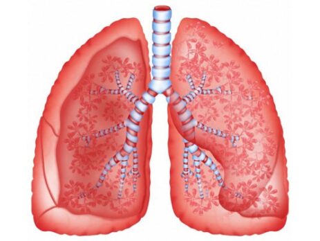 Bệnh bụi phổi - phòng bệnh hơn chữa bệnh