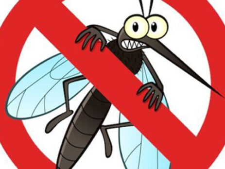 muỗi gây bệnh sốt rét