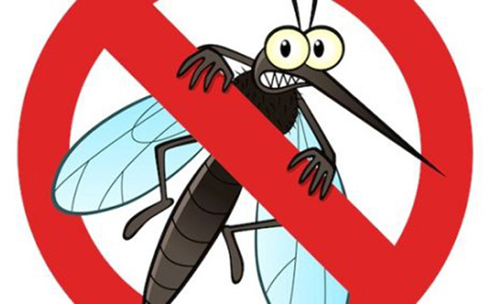 Máy xông tinh dầu đuổi muỗi là gì? có nên sử dụng?