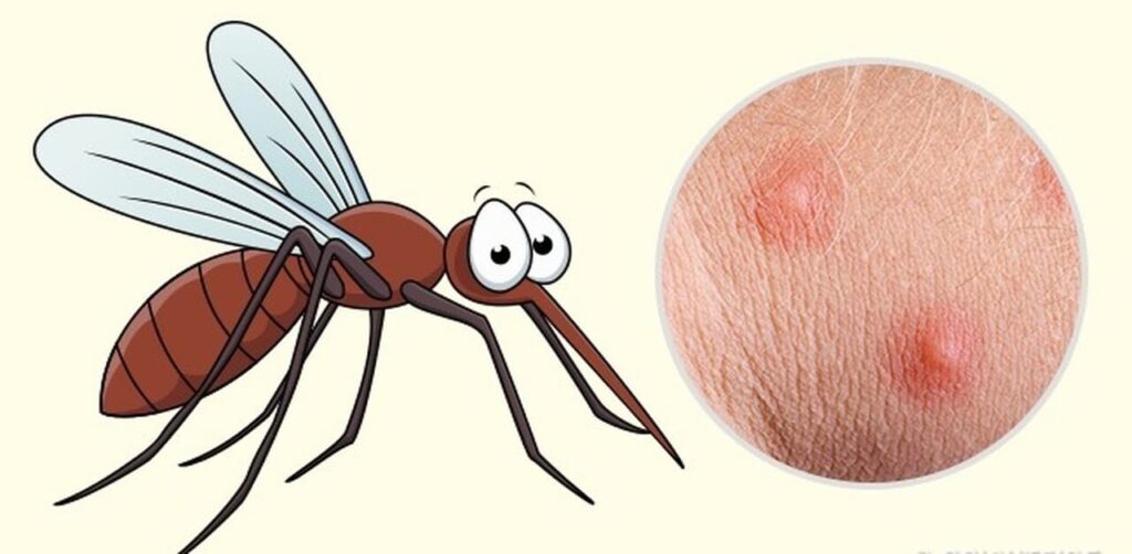 muỗi vằn đốt khá nguy hiểm cho trẻ nhỏ