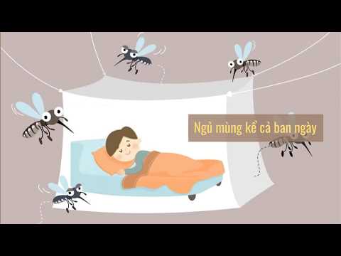 Hãy sử dụng màn để tránh bị muỗi vằn đốt