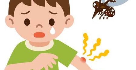 Những thói quen sai lầm tránh bị muỗi đốt cho bé của cha mẹ