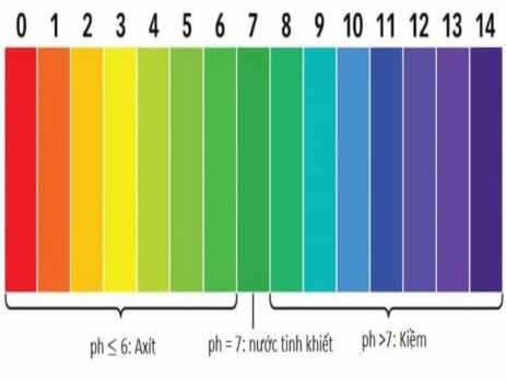 Độ pH của nước tinh khiết có phải là chỉ số lí tưởng không?