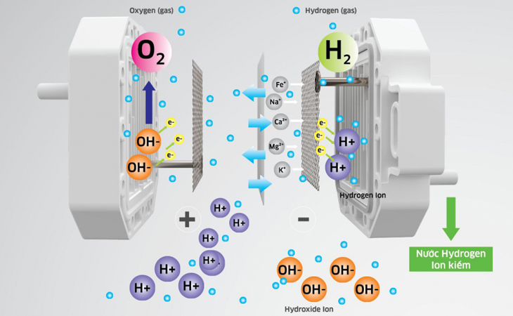 Vai trò bộ tiền xử lý cho máy lọc nước ion kiềm điện giải